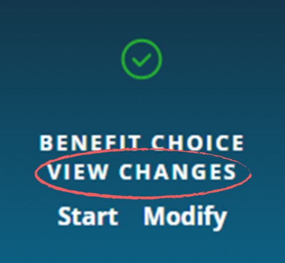 A blue box decorated with a green checkmark at the top. Below this it's labeled BENEFIT CHOICE. with three options. "VIEW CHANGES" is circled. At the bottom of the box side by side are two buttons, Start and Modify
